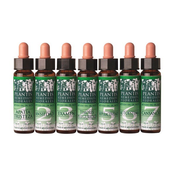 Remedio floral nº4 temores inseguridades eco plantis 10 ml